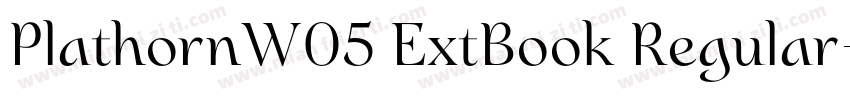 PlathornW05 ExtBook Regular字体转换